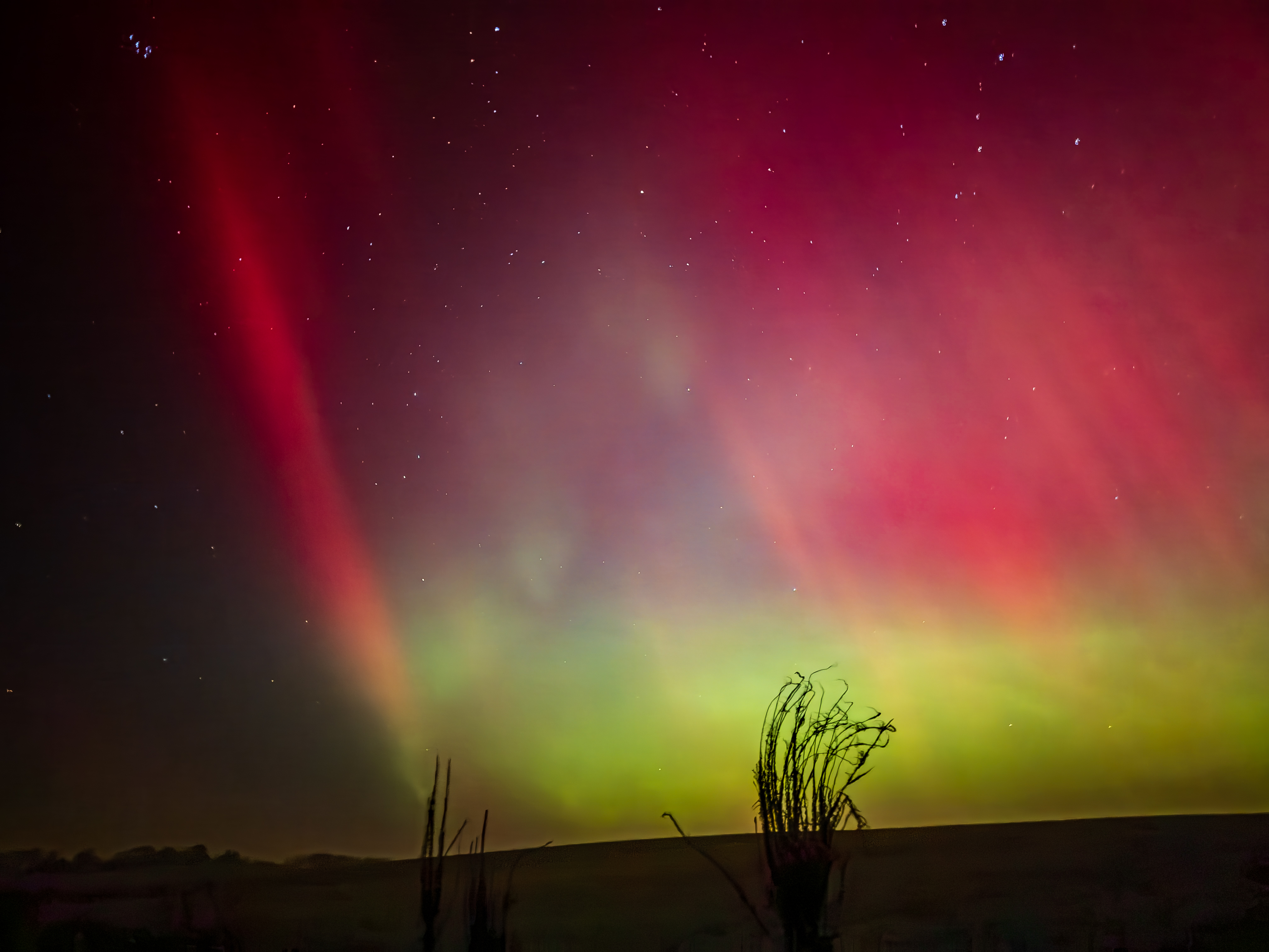 IMG 7297 20260119 230733 6.76 mm 1.0 Sek. bei f   1,8 ISO 4000